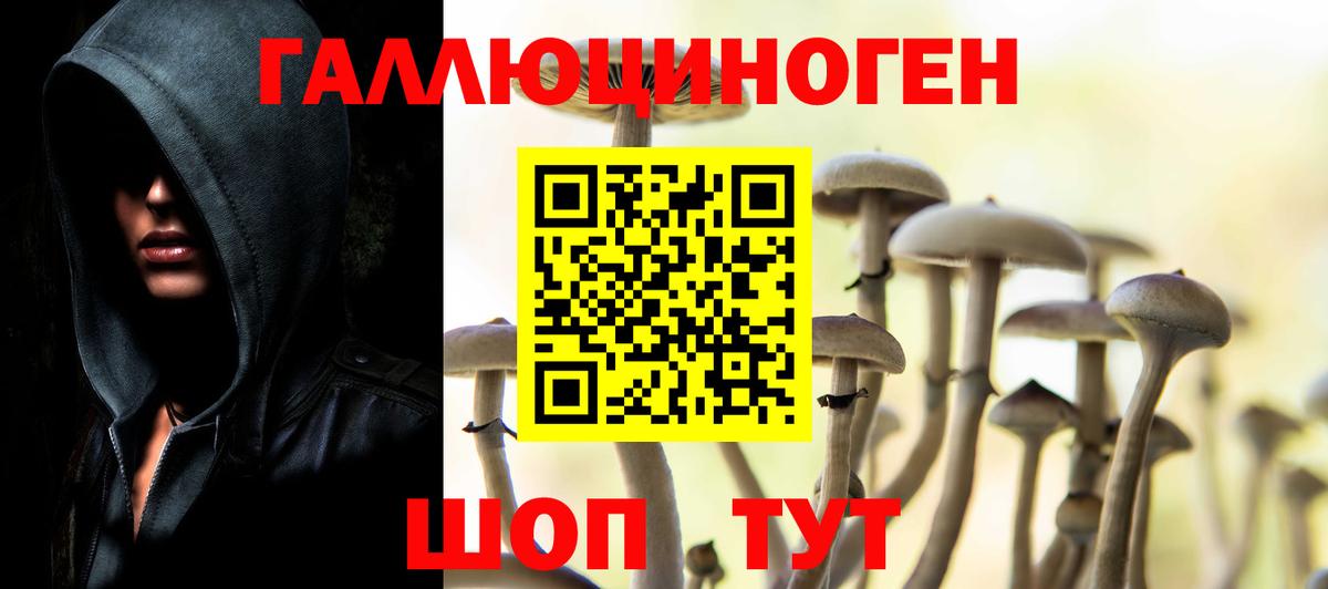 Псилоцибиновые грибы ЛСД Знаменск